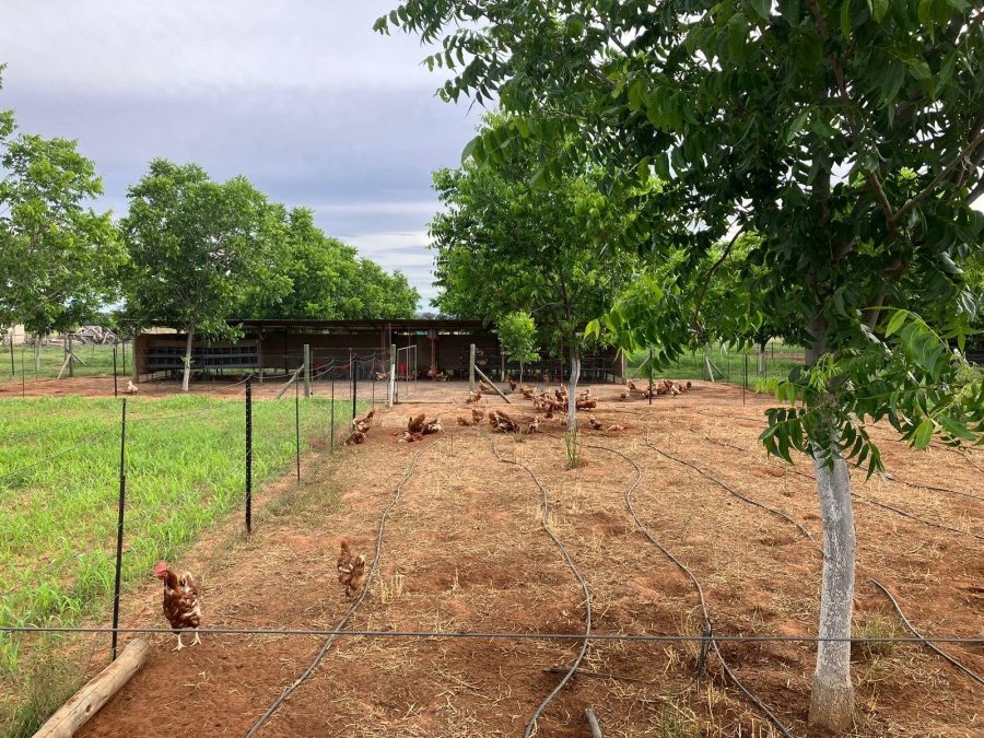 10 Bedroom Property for Sale in Bainsvlei Free State